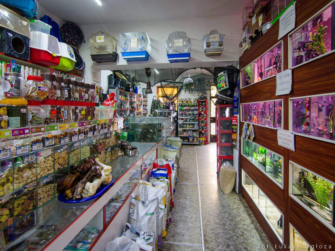 ubranka dla zwierząt