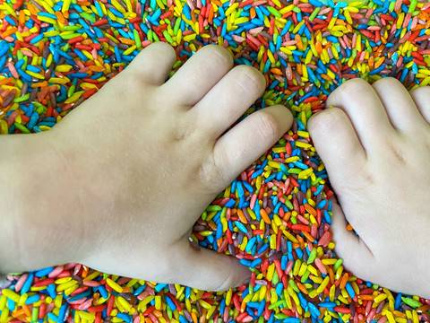 zajęcia sensoryczne