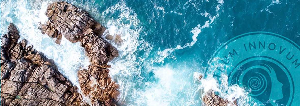 Centrum Innovum Terapia i Edukacja Hubert Świtalski