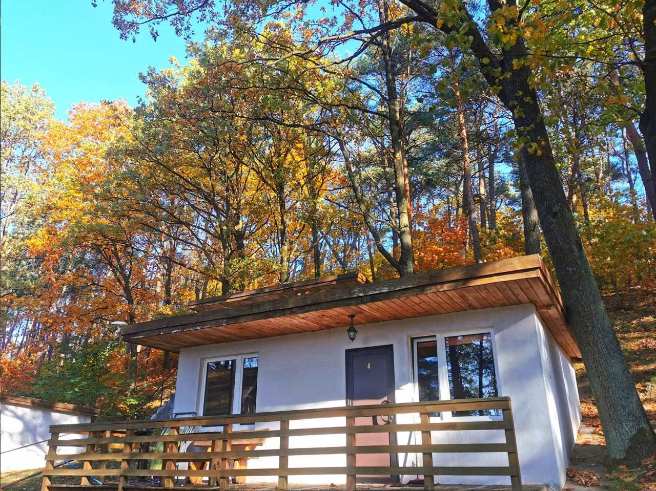 Domki nad Jeziorem Ośrodek Wypoczynkowy Jeleń