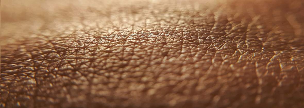 PPHU Kuguar Paweł Gajda