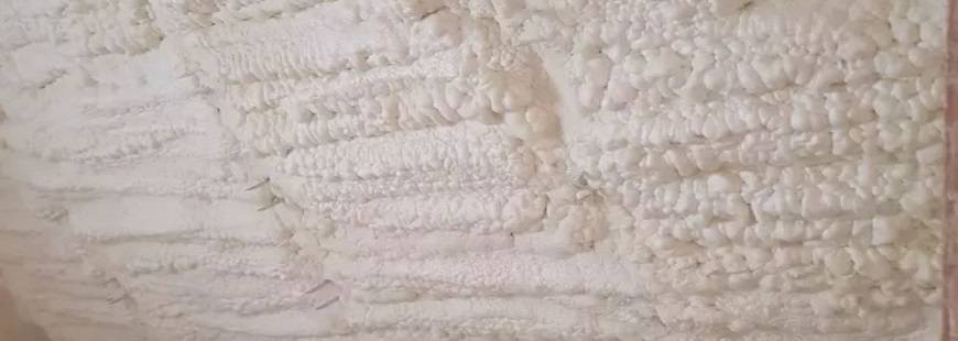 Izo-Pur Sławomir Pawlicki