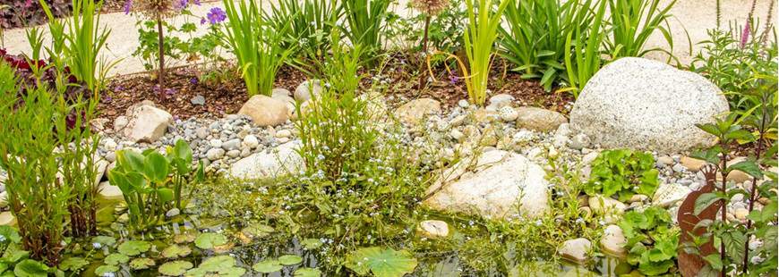 Garden Styl Usługi Ogrodnicze Karolina Piętka, Szczereż