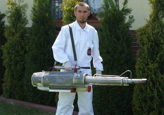 usuwanie szkodników