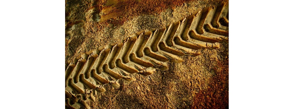 Grekop Grzegorz Światlak