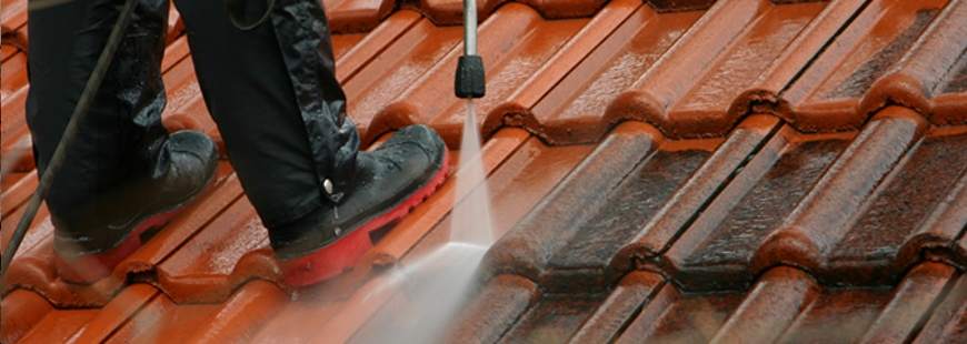 Cleantech Michał Cecelski