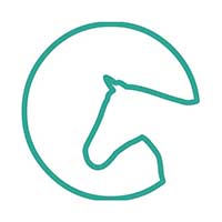 Terapia Koni - lek. wet. Katarzyna Przybył - Lecznice weterynaryjne