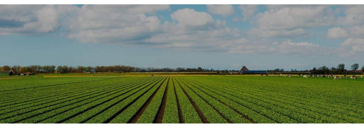 Lesz Rol Leszek Łoński