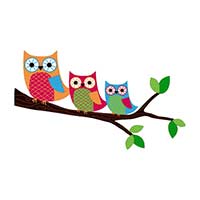 Piotr Matysiak Ditonus - logo