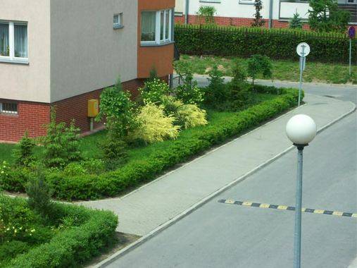 zakładanie ogrodów