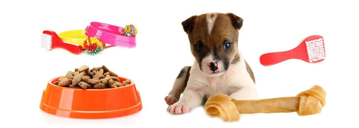 Sklep Zoologiczny Interzoo-Adam