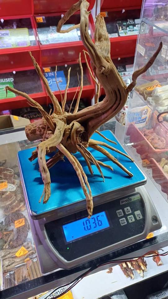 zoologiczne artykuły