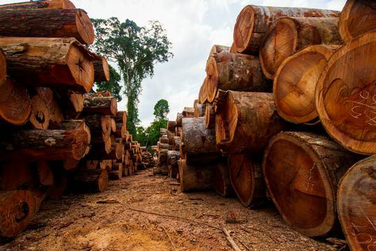 tarcie drewna na wymiar