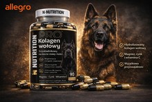 kolagen dla psów