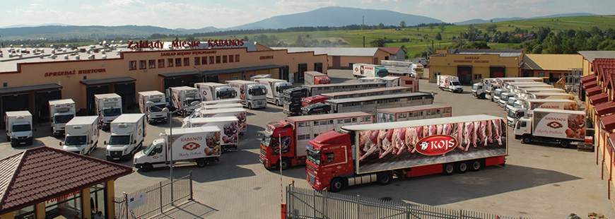 Kojs Firma Mirosław Kojs