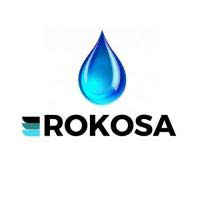 Rokosa Roman Ferensztaj - Studnie