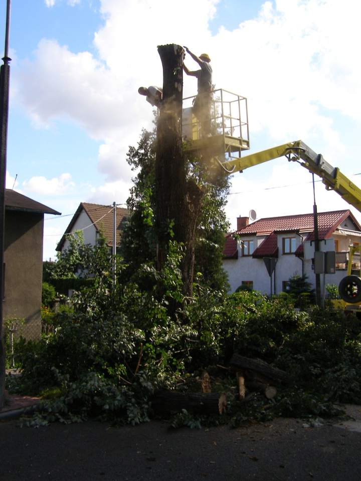 usługi podnośnikiem