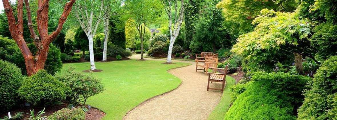 Zielone Marzenia Paweł Dudziak