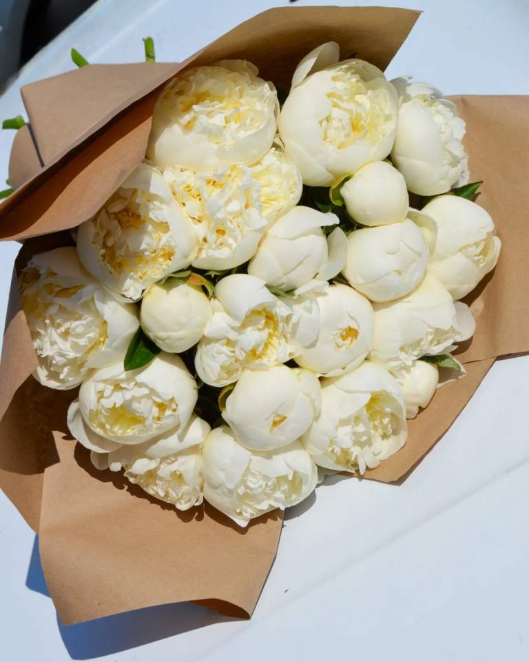 kwiaty, bukiety z kwiatów żywych, kompozycje kwiatowe