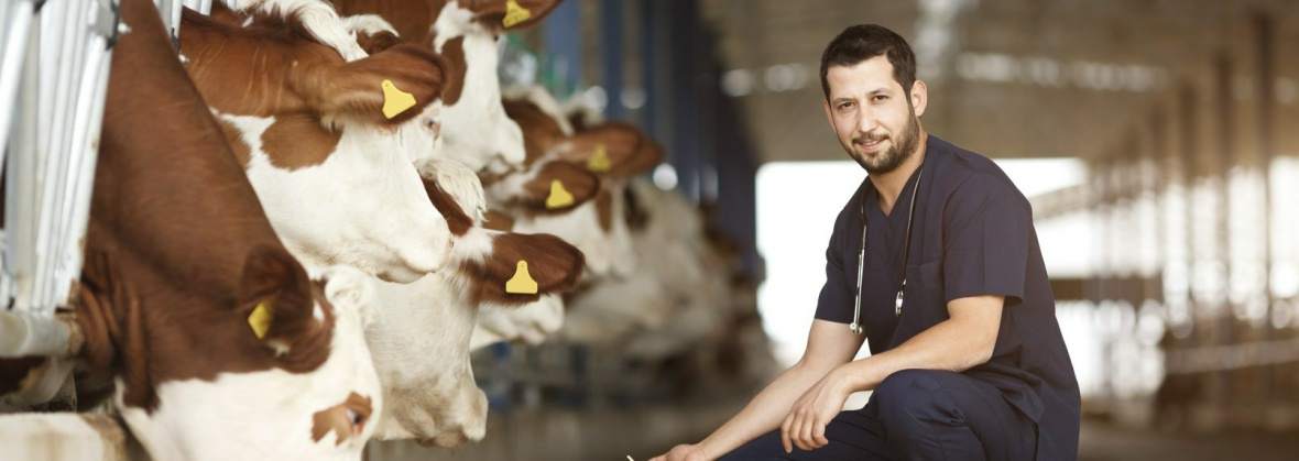 Milka Usługi Weterynaryjne Grzegorz Brzozowski