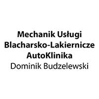 Mechanik Usługi Blacharsko-Lakiernicze AutoKlinika Dominik Budzelewski - Stacje diagnostyczne i przeglądy techniczne