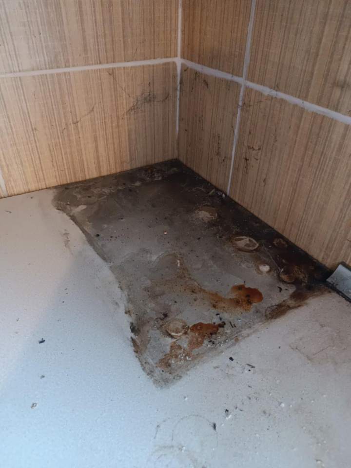 usługi sprzątające