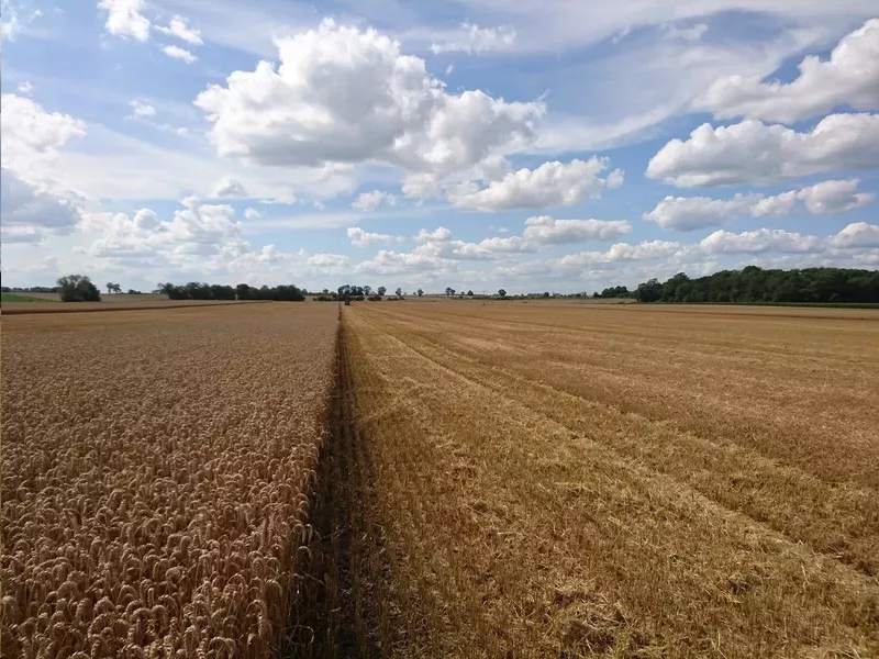 Artur Barczak Gospodarstwo rolne