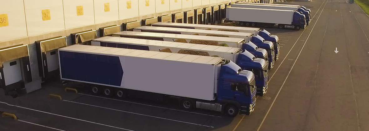 Ntr Roman Teodorczyk