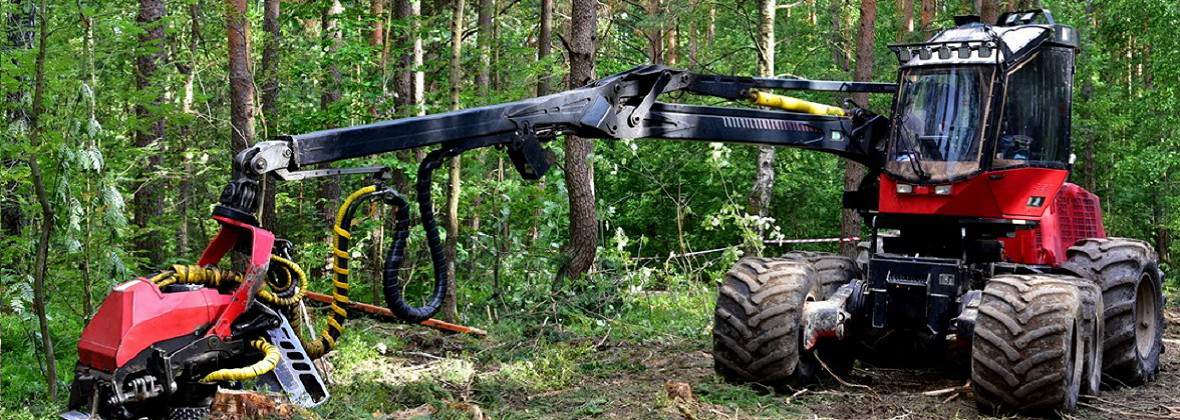 Drekz Krzysztof Zając