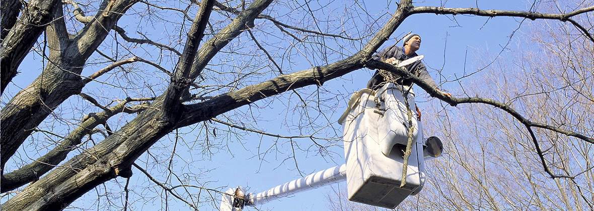 Podnośniki Koszowe Marcin Grzelakowski