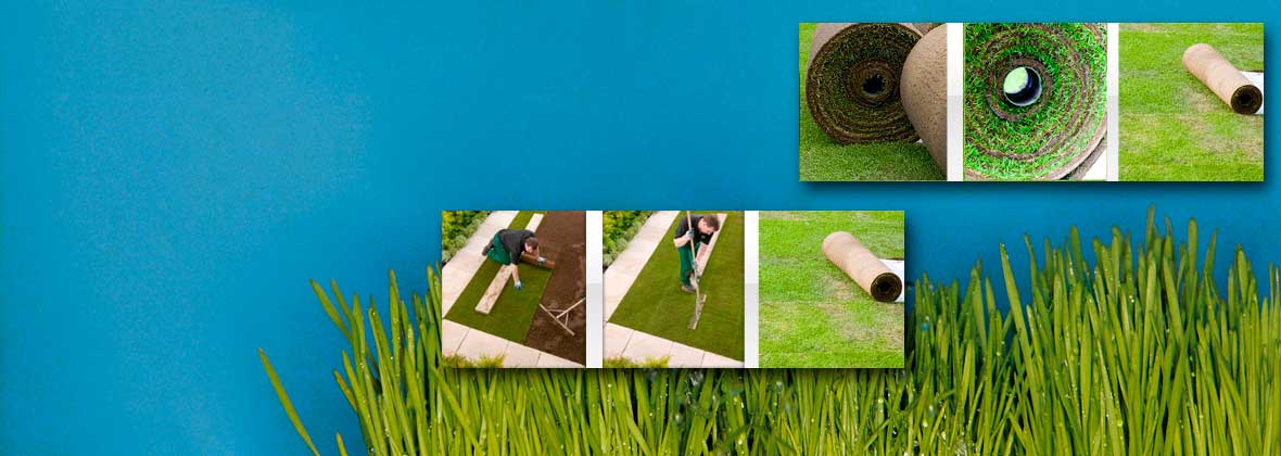 Trawa z rolki Krzysztof Perz