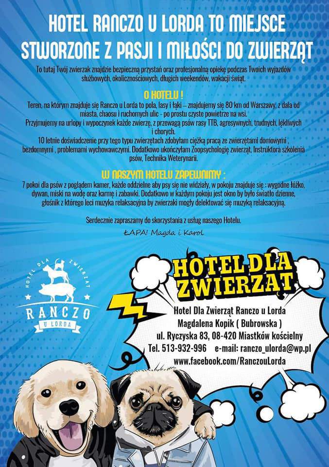 pensjonat dla psów