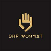 Hurtownia artykułów Bhp Wosmat - logo