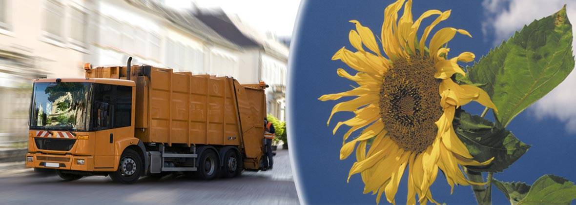 Andrzej Lubowicki Usługi Asenizacyjne, Wywóz Nieczystości Płynnych