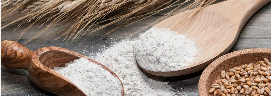 Młyn Ostrów Wlkp. Otwiaska Spółka komandytowa