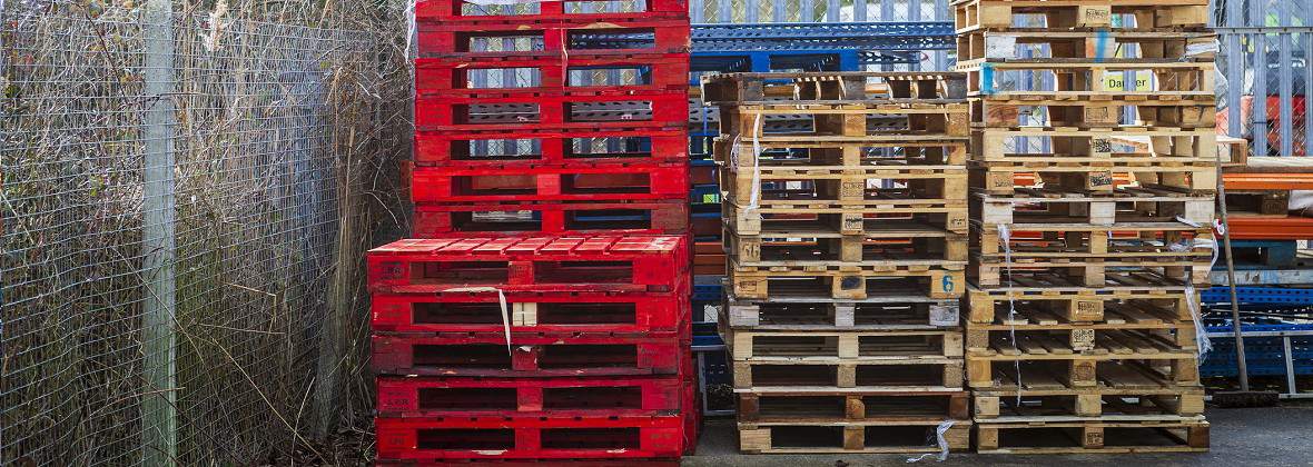 Picaro Firma Tadeusz Piórkowski