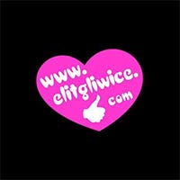 Pomoc drogowa Gliwice Laweta 24h mobilny mechanik Boa Spa Serwis Paweł Duś - Pomoc drogowa