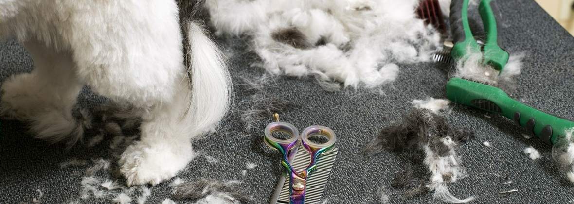 Stylowy Pupil Ewa Szeląg