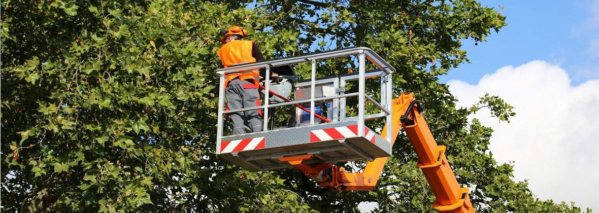 Serwis podnośników koszowych - Bektron Artur Bekiesza, Turka