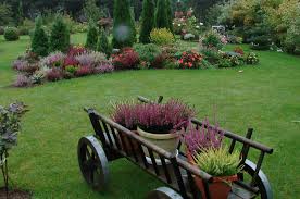 pielęgnacja ogrodów