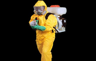 dezynfekcja, dezynsekcja