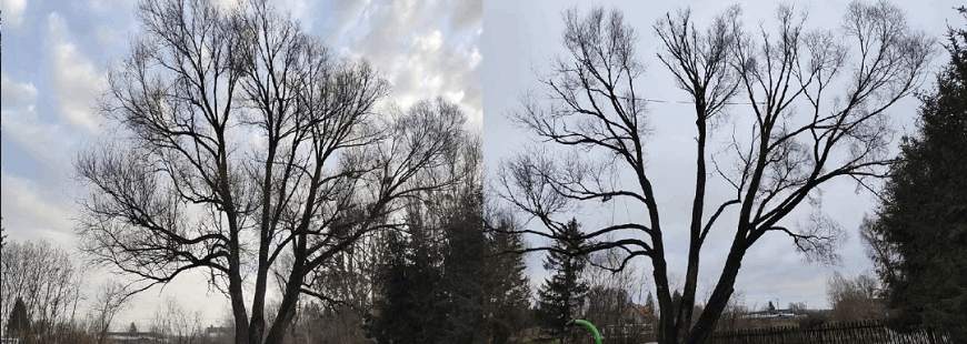 Dębowy Serwis Paweł Domański