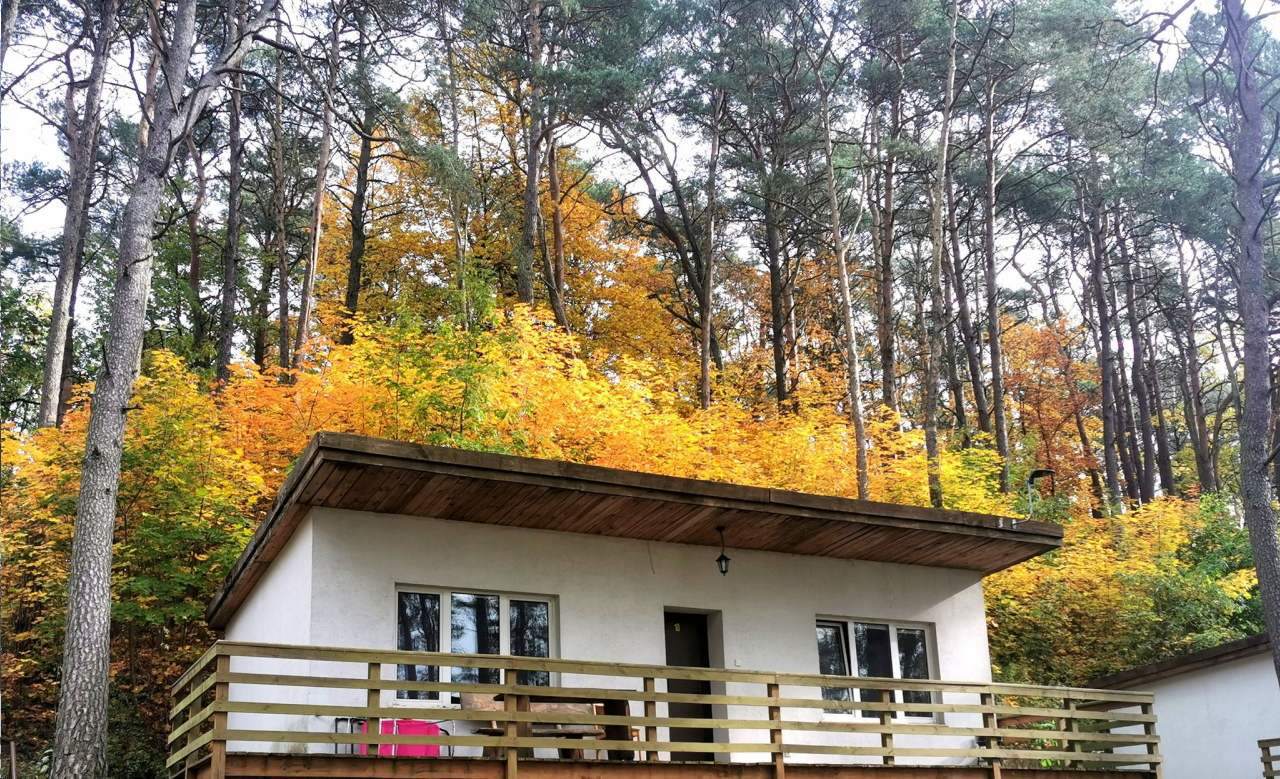 Domki nad Jeziorem Ośrodek Wypoczynkowy Jeleń