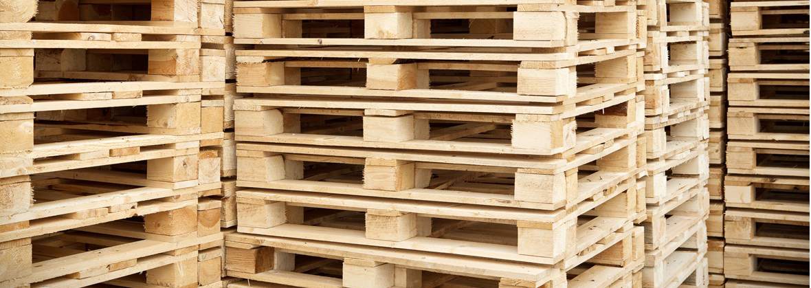 Allpal Dawid Dobrzyński