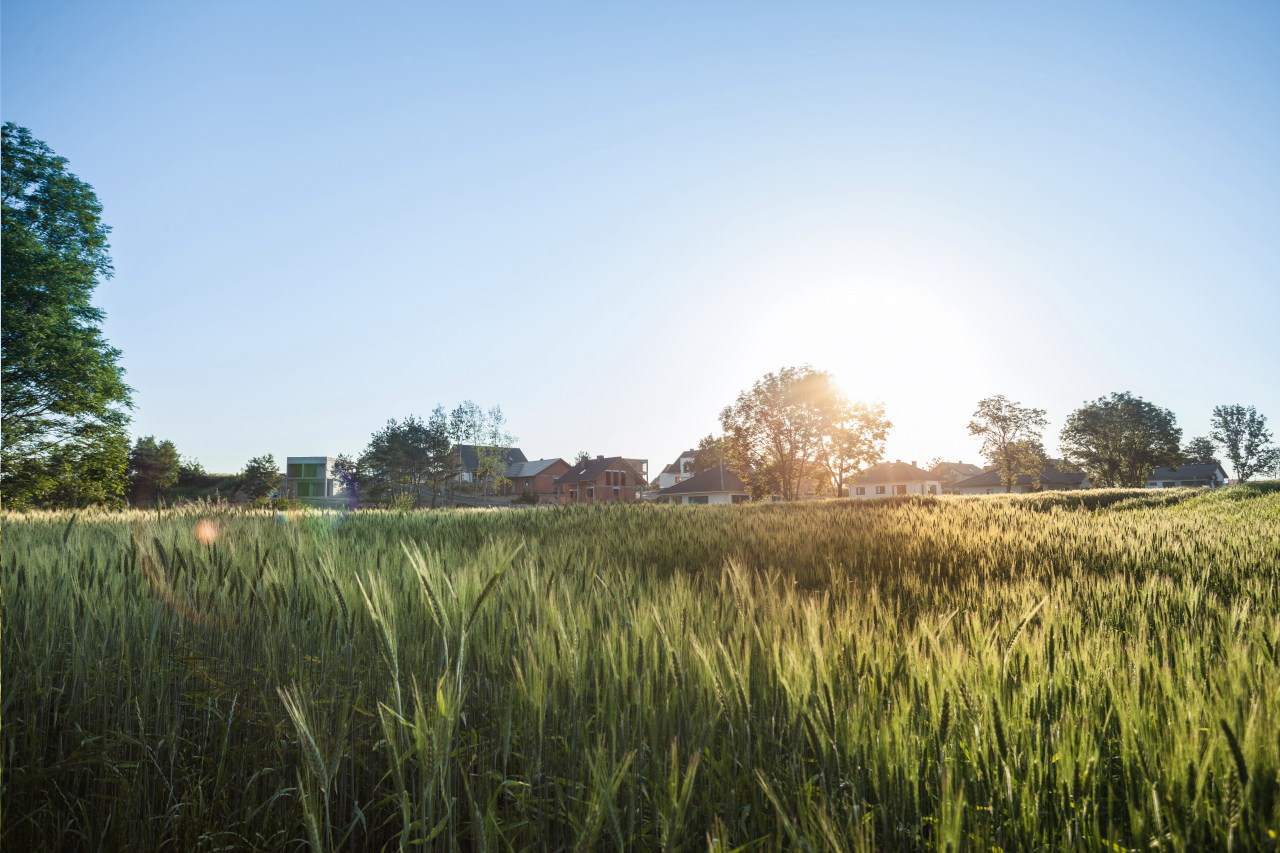 działki na sprzedaż