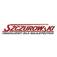 Dźwig-Trans System Kamil Szczurowski - logo