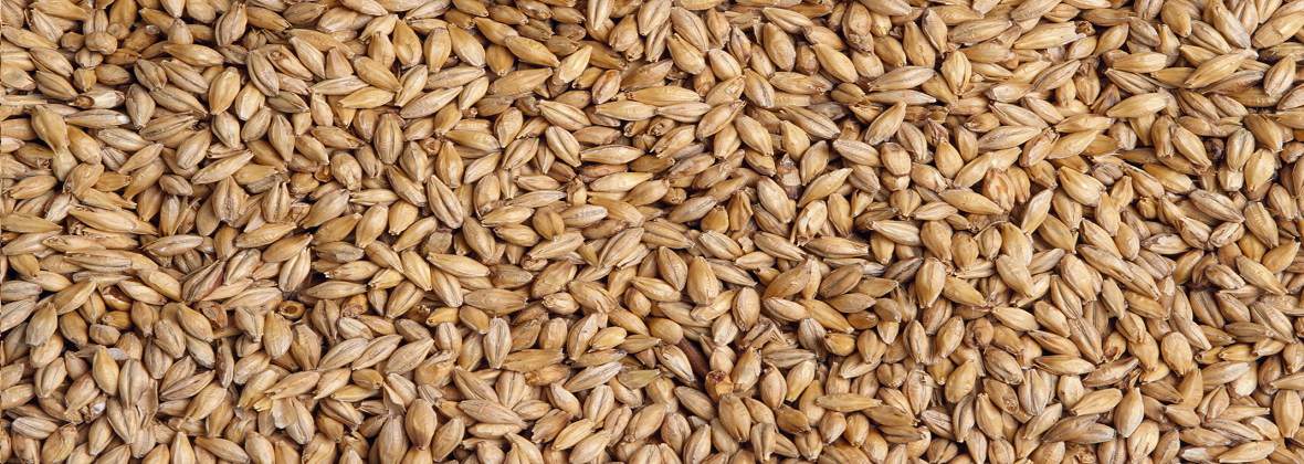 FHU Romano Roman Działak