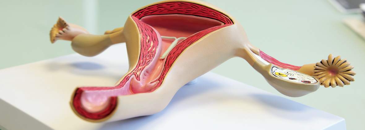 Talikowski Janusz, lek. med. Spec. ginekolog położnik.