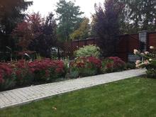 zakładanie ogrodów