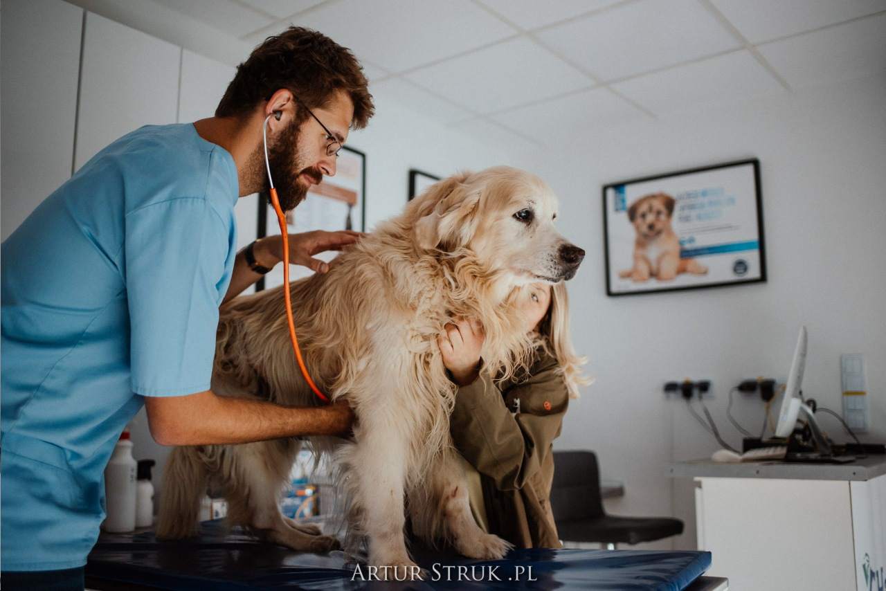 gabinet weterynaryjny, przychodnia weterynaryjna, weterynarz